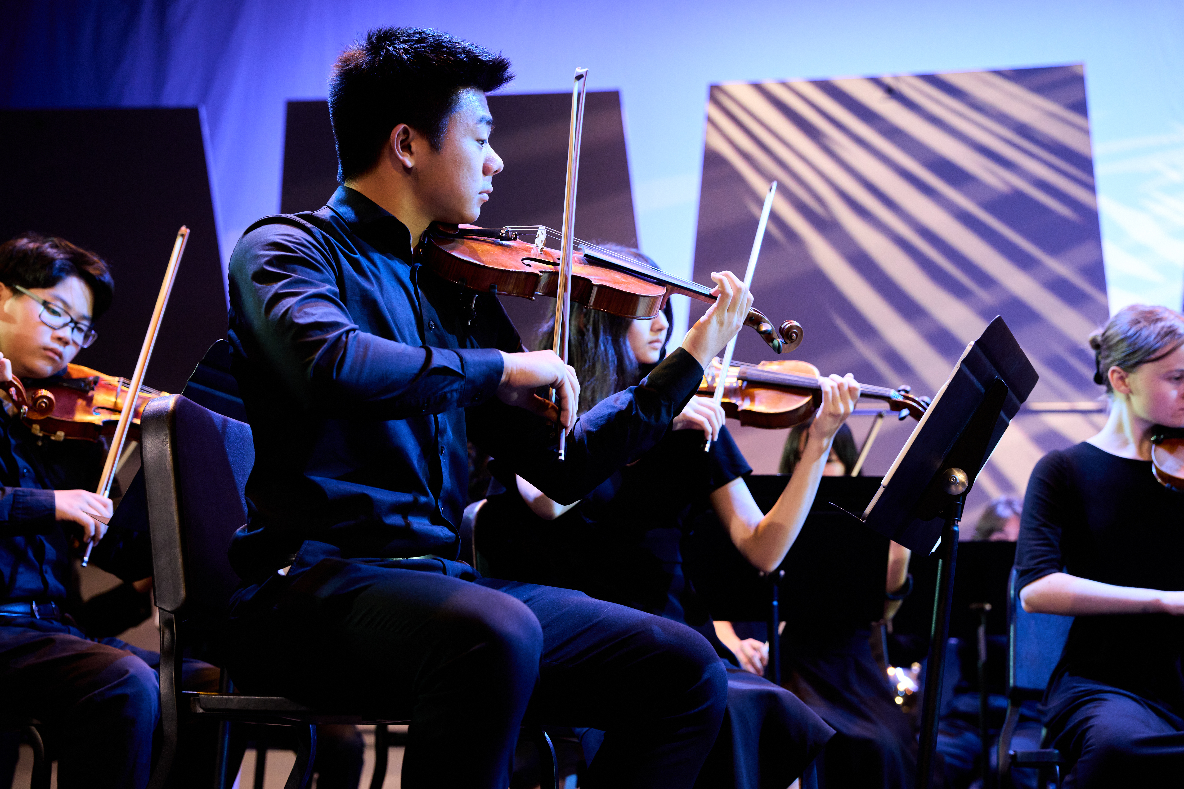 Instrumental Musicians